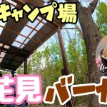 【桜は咲いてるか？】背徳感を持つドロドロチーズたっぷり使ったハンバーガーを作ってみる