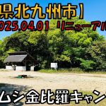 【金比羅キャンプ場】2025年4月にリニューアルOPENした街から5分小さな森のキャンプ場です