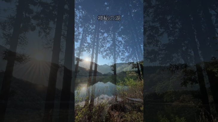 四尾連湖　水明荘キャンプ場  #japanesecamp ＃四尾連湖水明荘キャンプ場＃湖畔キャンプ#おすすめキャンプ場 ＃ゆるキャン