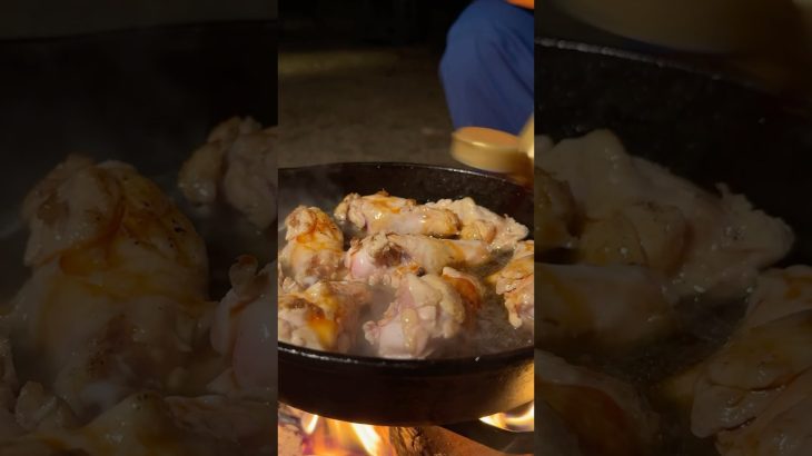 ズボラでも作れる鶏のさっぱり煮#キャンプ飯