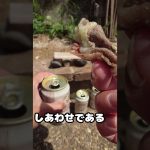 １００均岩塩プレート