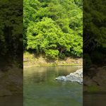 🌿 夏におすすめのキャンプスポット。新戸キャンプ場の魅力とは？」#キャンプ #キャンプ場 #キャンプ初心者