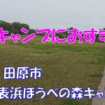 【おすすめキャンプ場】表浜ほうべの森キャンプ場【中部、東海】