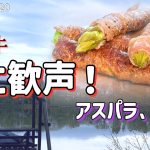 【BBQ料理】肉好き必見！アスパラ肉巻きが言葉を失うほどの美味しさ。湖畔キャンプで会津推し！
