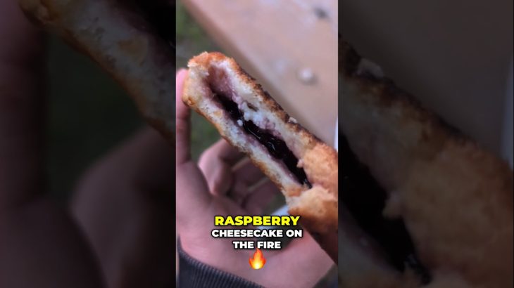 Epic Raspberry Cheesecake in the Pie Iron 🔥 Campfire Dessert!