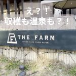 【千葉】おすすめのキャンプ場紹介！「THE FARM 農園リゾート」