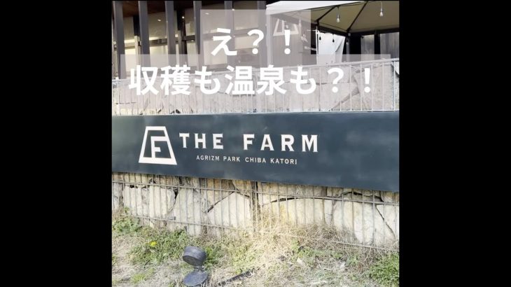 【千葉】おすすめのキャンプ場紹介！「THE FARM 農園リゾート」