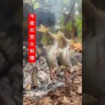 【野営】鮎の塩焼きとチゲうどん#キャンプ女子 #キャンプ飯 #アウトドアグルメ #焚き火料理 #outdoors