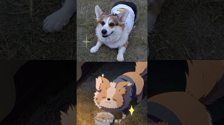 ゆらゆらキャンプ料理｜サーモンスープ