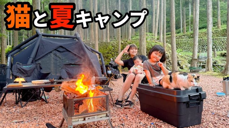 夏でも涼しい猫とキャンプができるおすすめキャンプ場でファミリーキャンプ！！