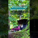 涼しいキャンプを求めている人必見！#おすすめキャンプ場 ＃椿荘オートキャンプ場