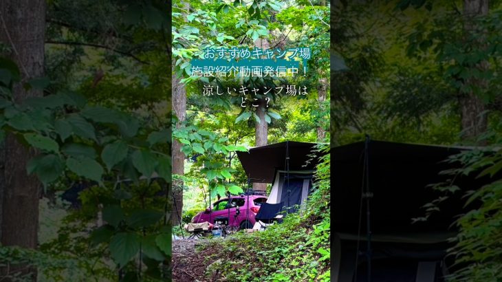 涼しいキャンプを求めている人必見！#おすすめキャンプ場 ＃椿荘オートキャンプ場
