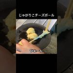 じゃがりこチーズボールはあり？なし？#100均 #キャンプ #キャンプ飯 #アウトドア