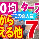 【オススメタープ張り方＆タープ周辺人気100均アイテム】棚から消える他７選！