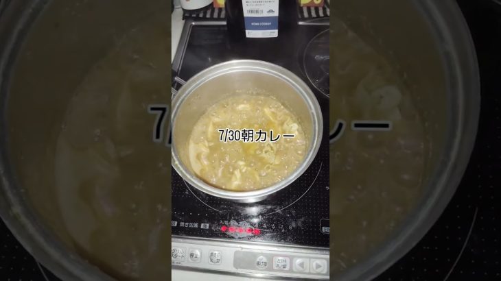 7/30朝カレー #まいにちごはん #料理 #food #cooking #カレースタグラム #ショート #カレーライス #カレー好き #キャンプ飯 #朝カレー　#朝カレーライス　#カレーメシ