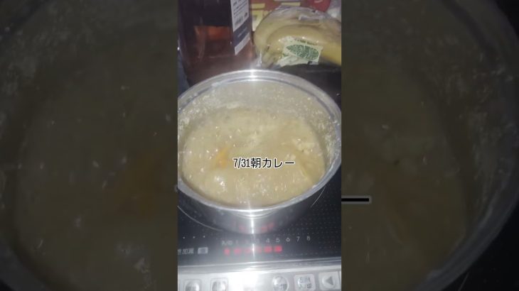 7/31朝カレー #まいにちごはん #料理 #food #cooking #カレースタグラム #ショート #カレーライス #カレー好き #キャンプ飯 #朝カレー　#朝カレーライス　#朝ごはん #自炊