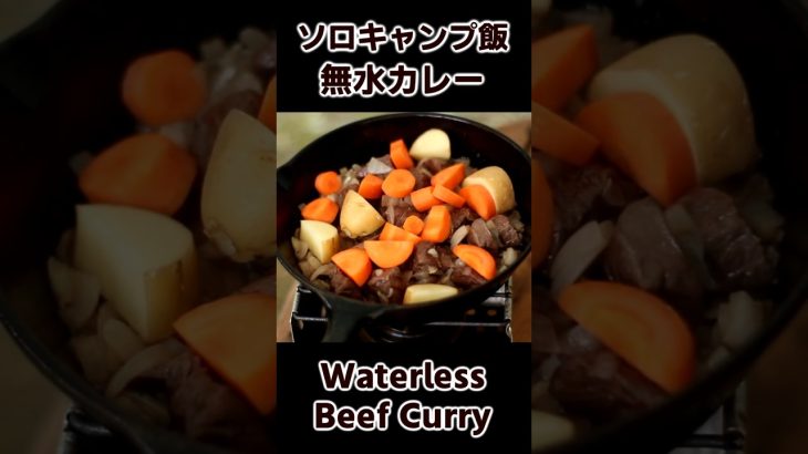 ソロキャンプ飯 無水カレー スキレットで作るビーフカレー / Beef Curry with Skillet / Outdoor Cooking #bushcraft #キャンプ飯