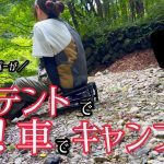 【埼玉×大鳩園キャンプ場】徒歩キャンパー、ついに車で出撃！旦那に内緒でテント買っちゃった！