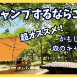 【夏キャンプ】に超オススメ！川あり！木陰あり！生ビール、かき氷あり！かもしか葛川森のキャンプ場⭐︎