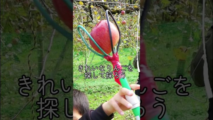 秋の予約は始まってます！秋におすすめのキャンプ場