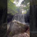 夏のキャンプ場　おすすめ