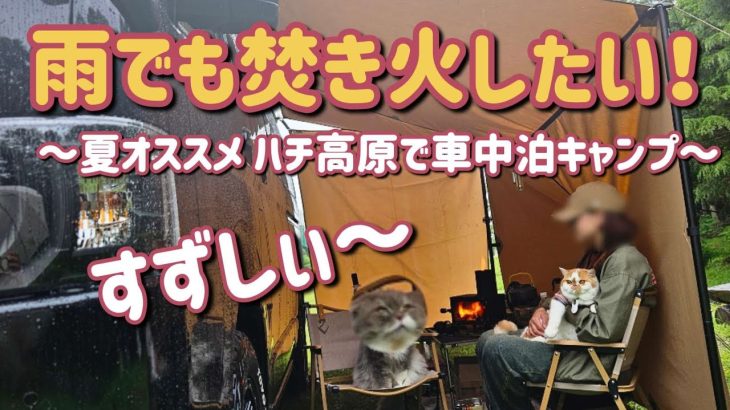 ハイエースなら雨キャンプも楽チン！夏休みにおすすめ ハチ高原キャンプ場