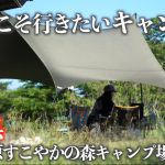 【夫婦キャンプ】標高1200m九州の絶景キャンプ場！真夏に行ってみた🏕️宮崎県キャンプ場、夏におすすめ、チキン南蛮の名店も見つけた！宮崎グルメ＆四季見原すこやかの森キャンプ場【九州おすすめキャンプ場】