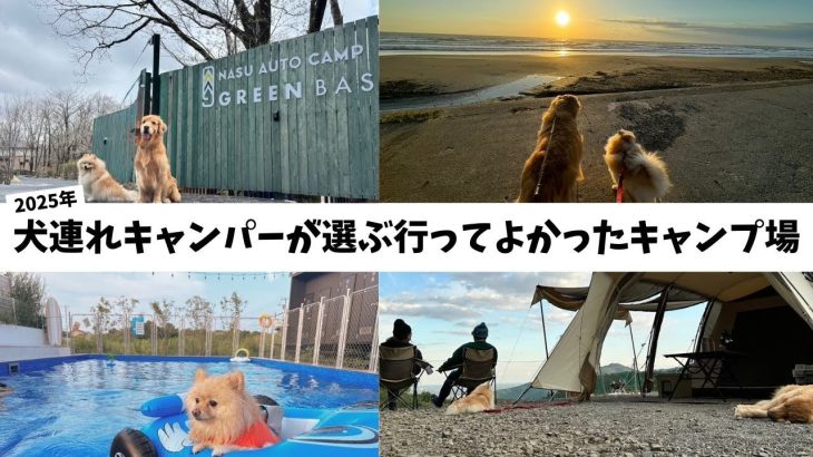 【2025年版】犬連れキャンパーが選ぶ行ってよかったキャンプ場【関東】