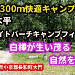 【キャンプ場紹介】姫木平ホワイトバーチキャンプフィールド　長野県小県郡長和町大門3515-33