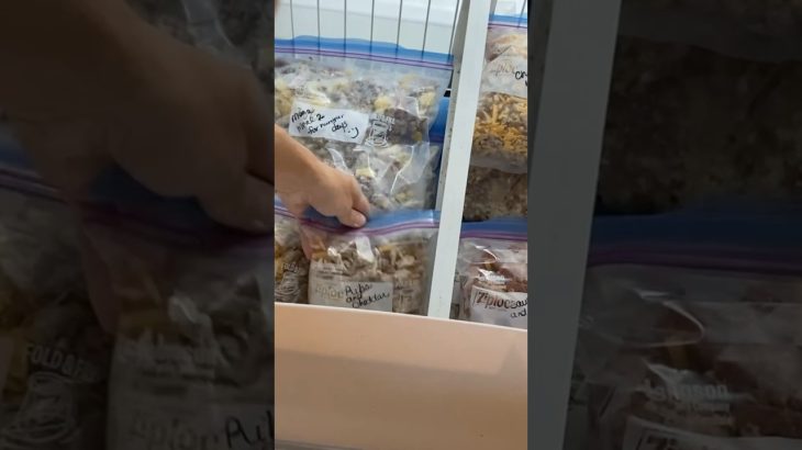 Carnivore Camp Meals for the Trail❤️🏔️🐴 #carnivore #camping #carnivorecampfood #freezedriedfood