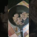 キャンプへLet’s Go⭐⑤ 鶏鍋うどんにしました🍲⭐自然の中で🌲鶏鍋🍲食べて🌛リラックスタイムです⭐ #shorts