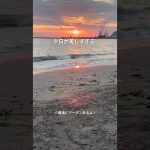 【夕日がもトイレもめちゃくちゃキレイなキャンプ場知ってる？】オススメのキャンプ場⛺️#PR#shorts #ブリーズ館山#キャンプ #千葉 #キャンプ場#ギアスト