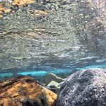 上高地・徳澤テント泊・超快適・初心者おすすめ・Travel in Japan