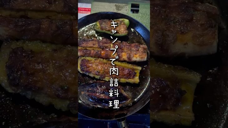 キャンプで肉詰料理やってみた #アウトドアグルメ #キャンプ飯 #アウトドア #outdoors