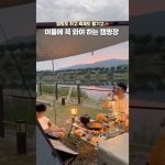 캠핑도 하고 축제도 즐길 수 있는 캠핑장🏕️#캠핑장추천