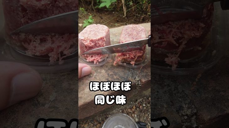 コンビーフ　食う