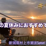 銀組キャンプvol.316 新潟の夏休みにおすすめです！キャンプ場巡り21 新潟県村上市瀬波Sunset Side Base