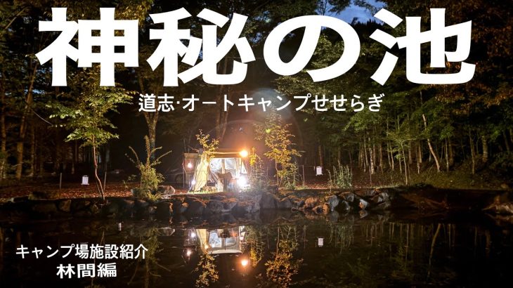 【キャンプ場施設紹介】道志・オートキャンプせせらぎ・林間編