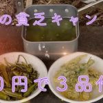 究極の貧乏キャンプ飯 ６０円で３品作る 炒め物 天ぷら スープ 空芯菜 ウンチェー ウンチェーバー アサガオナ ヨウサイ
