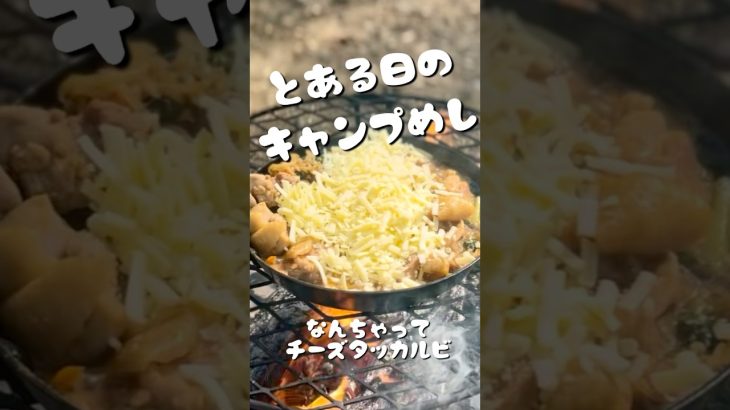 【なんちゃってタッカルビ】とある日のキャンプめしvol.5