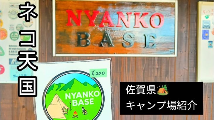 『ネコ天国』🐈️-NYANKO BASE- #佐賀 #猫 #キャンプ場紹介