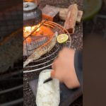 【キャンプ飯】森の中で米炊いて秋刀魚焼く。#ソロキャンプ #レシピ #asmr