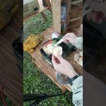 キャンプで絶品カマンベールチーズのアヒージョ　 バケット#camping #アウトドアグルメ #cooking #food