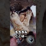 ビール缶　タコ焼き