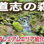 【キャンプ施設紹介】道志の森キャンプ場・奥エリア編リピ確定サイト発見❣️