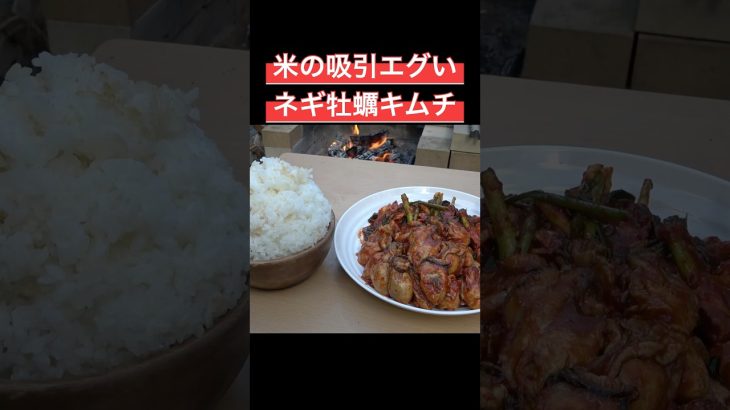 こんなん米吸い込むって #料理 #アウトドアグルメ #キャンプ飯 #牡蠣 #キムチ