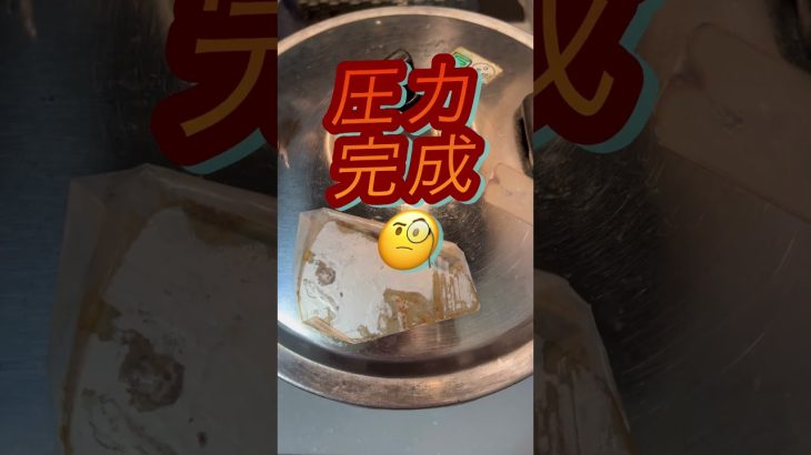 激安70円鶏ガラで作る本格塩ラーメン🐒 #おいしい #料理 #くりまんじゅう #燻製 #癒し #キャンプ飯 #おじさん #アウトドアグルメ #food #簡単 #かんたんレシピ #らーめん #適当