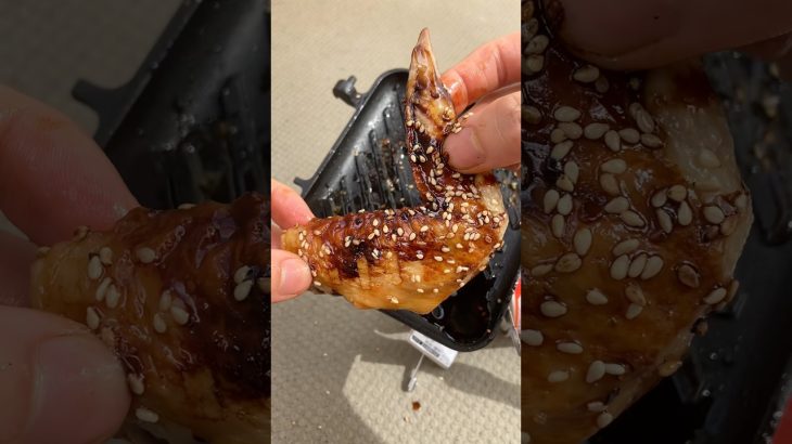 手羽先うますぎた！！🍖  #キャンプ飯  #アウトドアグルメ #簡単レシピ  #簡単料理  #アレンジレシピ #飯テロ #cooking #ホットサンドメーカー