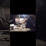 【薪ストーブで作るマカロニグラタン】#shosts #キャンプ飯 #グラタン