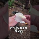 余った　餃子の皮　ツマミ